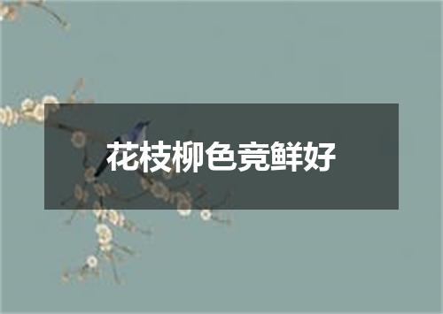 花枝柳色竞鲜好