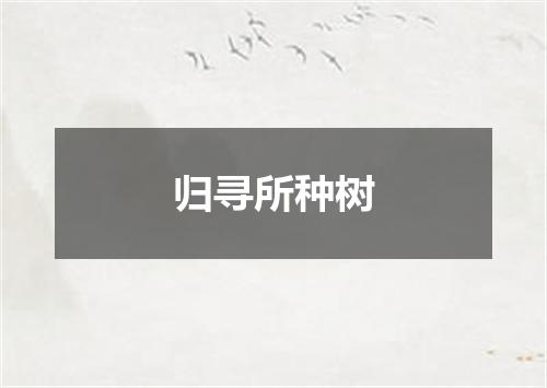 归寻所种树