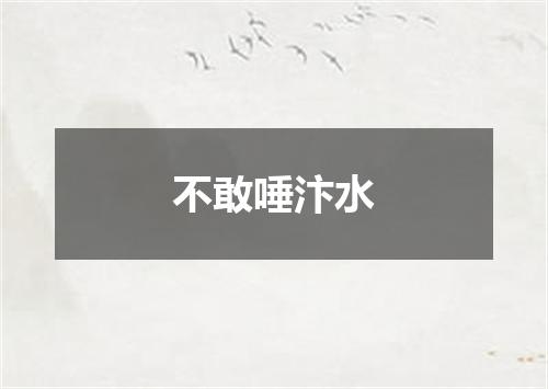 不敢唾汴水