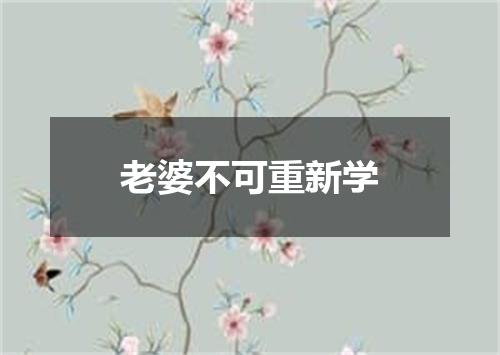 老婆不可重新学