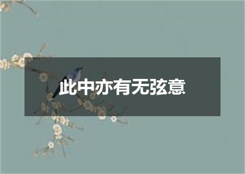此中亦有无弦意