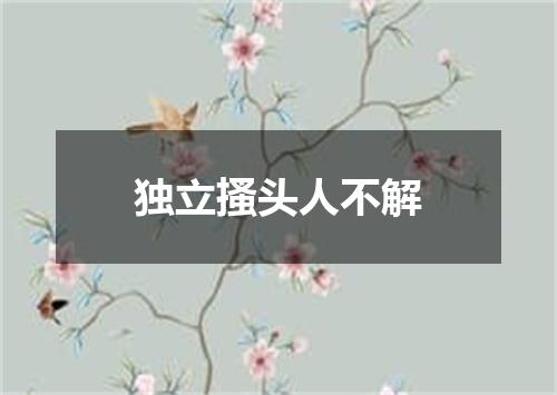 独立搔头人不解