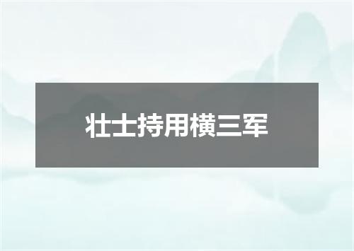 壮士持用横三军