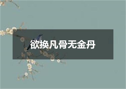 欲换凡骨无金丹