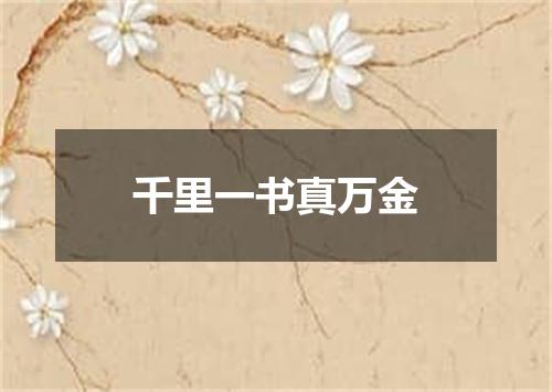 千里一书真万金