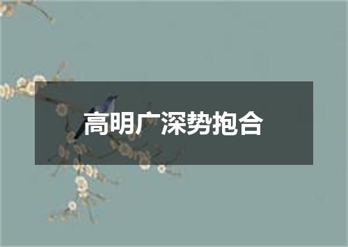 高明广深势抱合