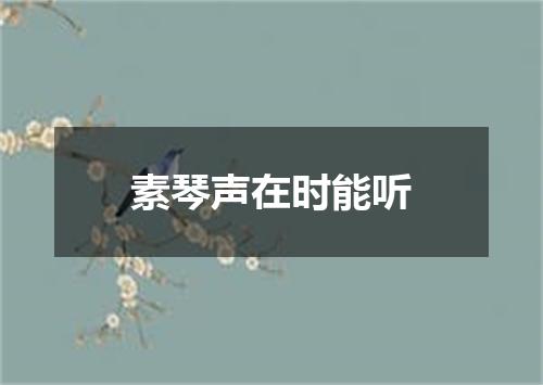 素琴声在时能听
