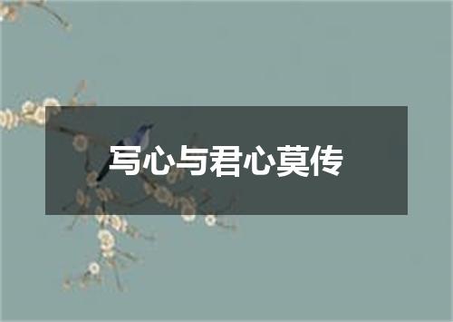写心与君心莫传