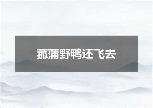 菰蒲野鸭还飞去
