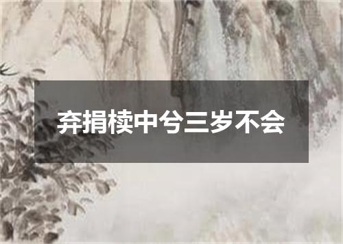弃捐椟中兮三岁不会
