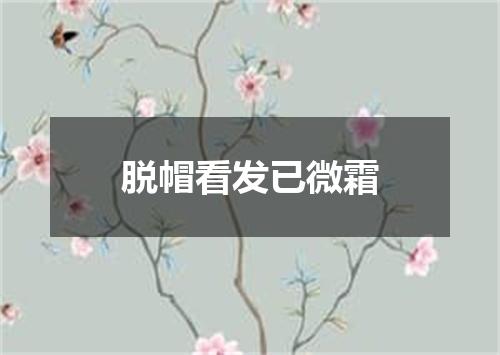 脱帽看发已微霜
