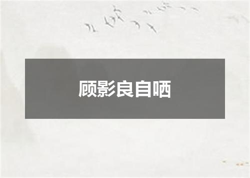 顾影良自哂