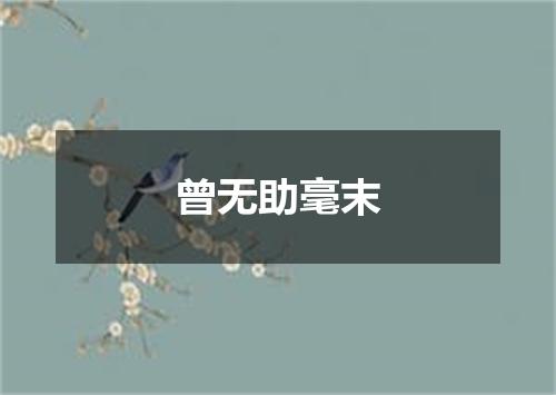 曾无助毫末