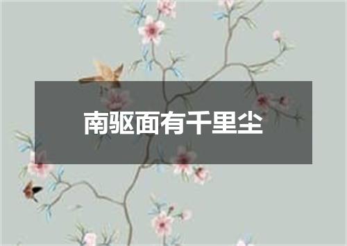 南驱面有千里尘