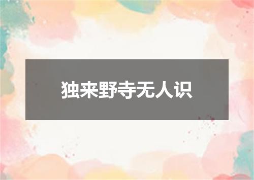 独来野寺无人识