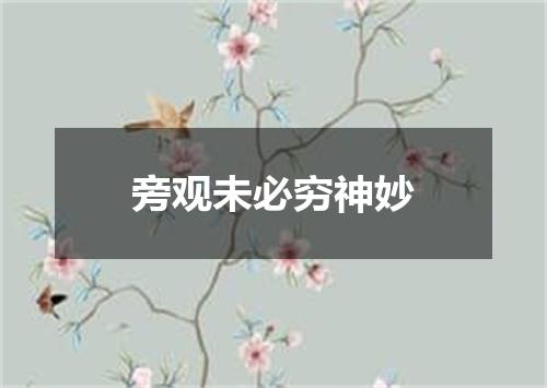 旁观未必穷神妙