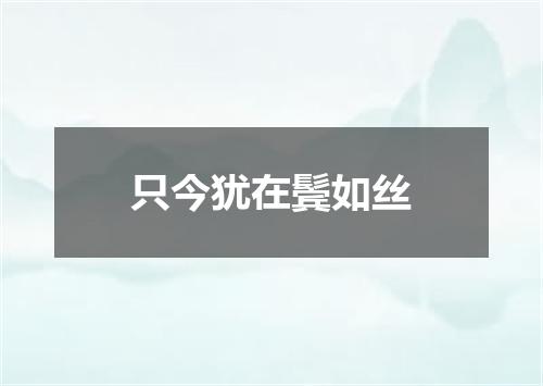 只今犹在鬓如丝