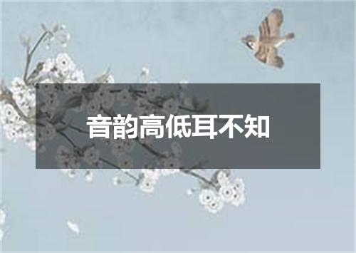 音韵高低耳不知