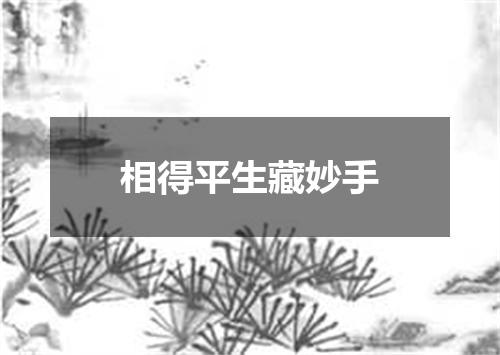 相得平生藏妙手