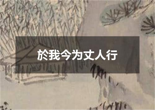 於我今为丈人行