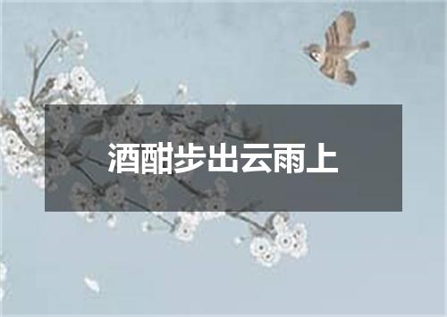 酒酣步出云雨上