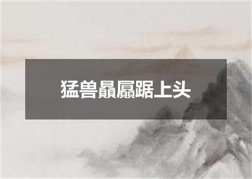 猛兽贔屭踞上头