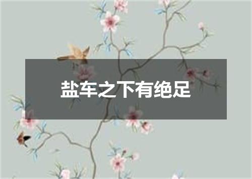 盐车之下有绝足
