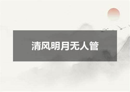 清风明月无人管