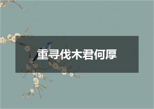 重寻伐木君何厚