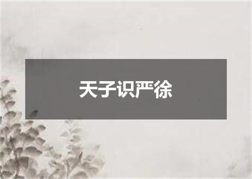 天子识严徐