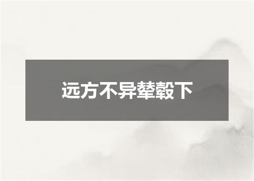 远方不异辇毂下