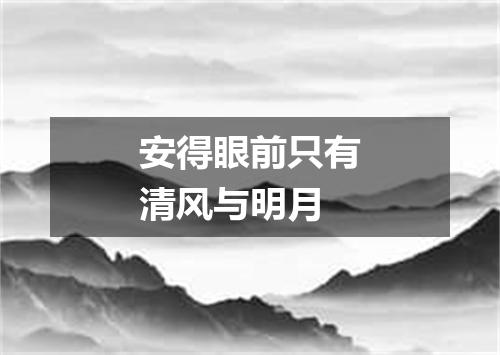 安得眼前只有清风与明月