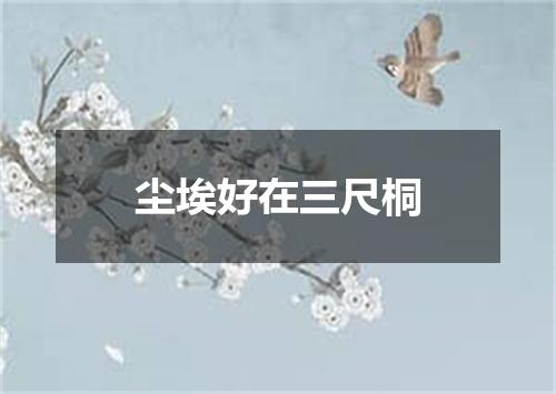 尘埃好在三尺桐