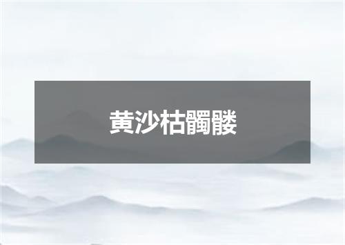 黄沙枯髑髅