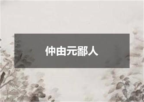 仲由元鄙人