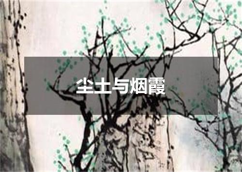 尘土与烟霞