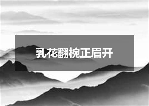 乳花翻椀正眉开