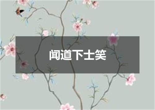 闻道下士笑