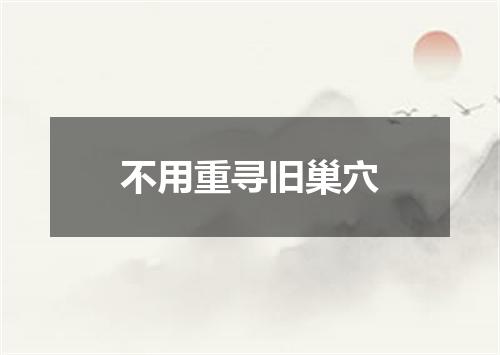 不用重寻旧巢穴