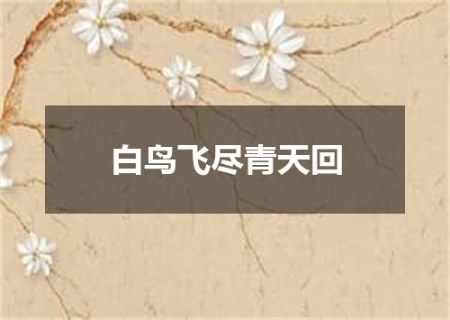 白鸟飞尽青天回
