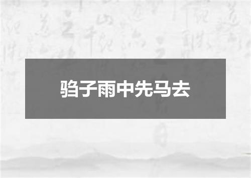 驺子雨中先马去