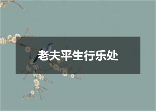 老夫平生行乐处