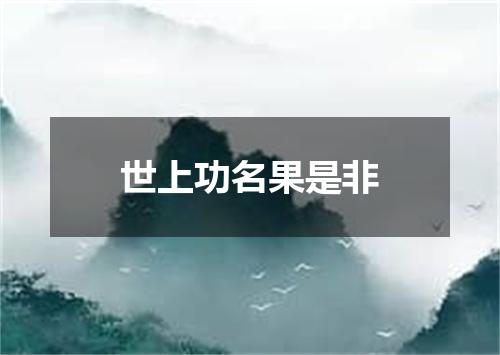 世上功名果是非