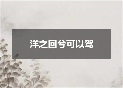 洋之回兮可以驾