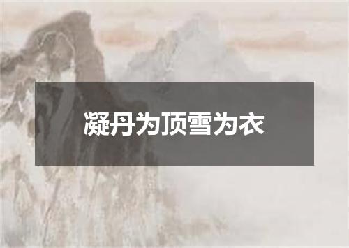 凝丹为顶雪为衣