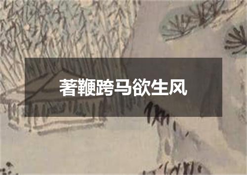 著鞭跨马欲生风