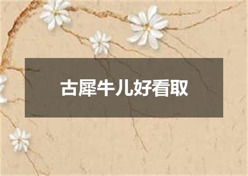 古犀牛儿好看取