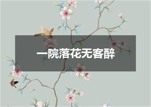一院落花无客醉