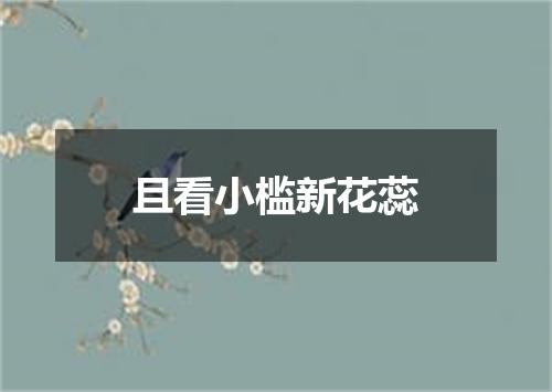 且看小槛新花蕊