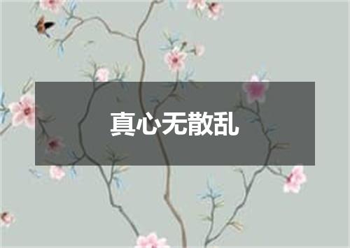 真心无散乱